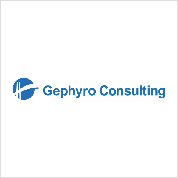 GephyroConsulting
ダラスニュース