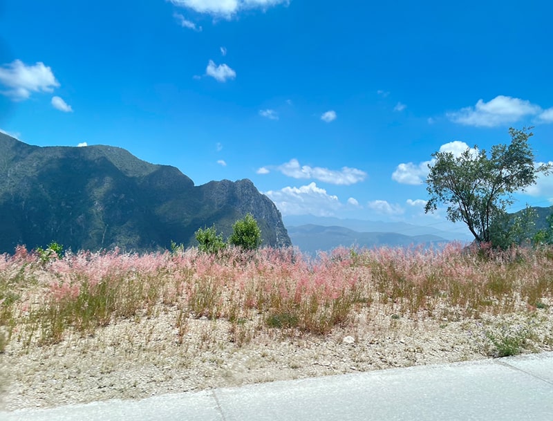 山々を望む景色