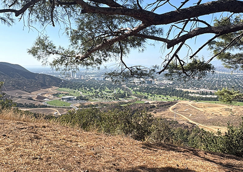 キャシーズ・コーナー