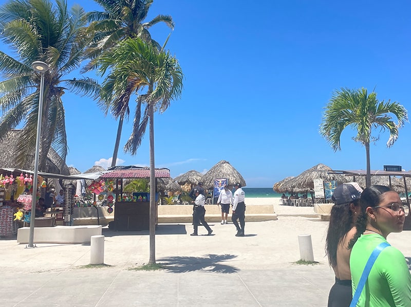 プログレソビーチ