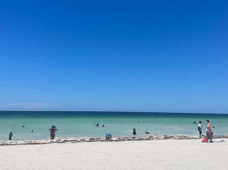 プログレソビーチ