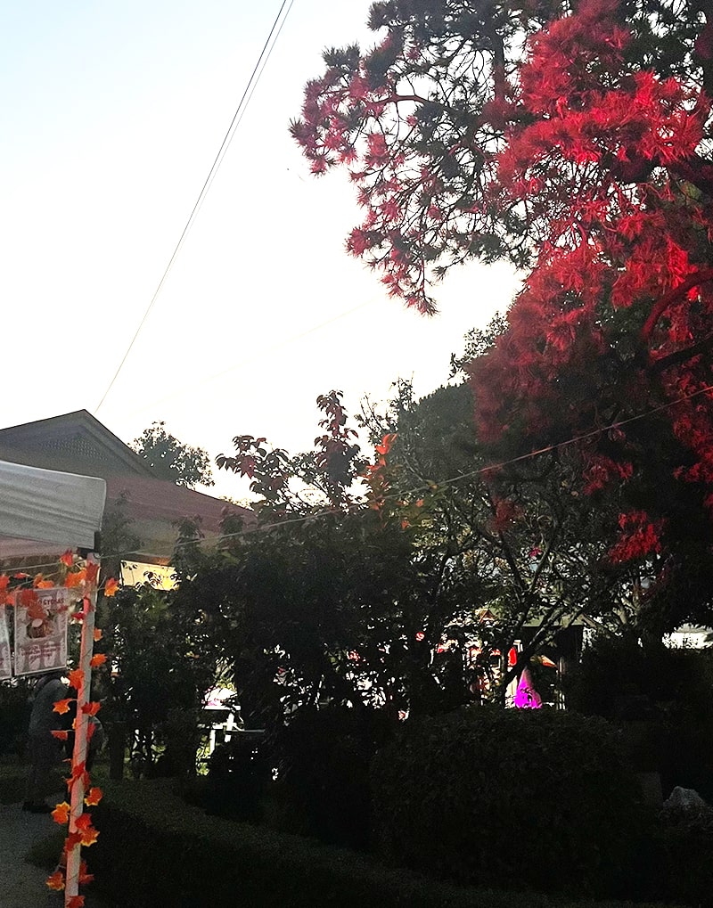 日本の紅葉をモチ－フにした庭園