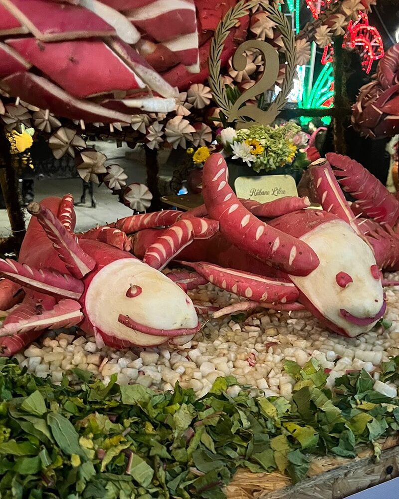 オアハカのラディッシュの夜