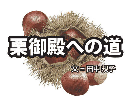 「栗の収穫ピークを振り返り」　栗御殿への道　第22回　田中規子　月刊ピンドラーマ2026年5月号