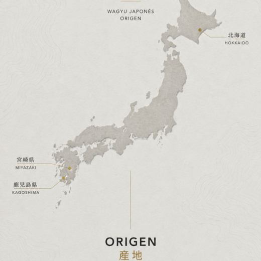 日本の和牛、その土地に宿る個性：CORTE 15