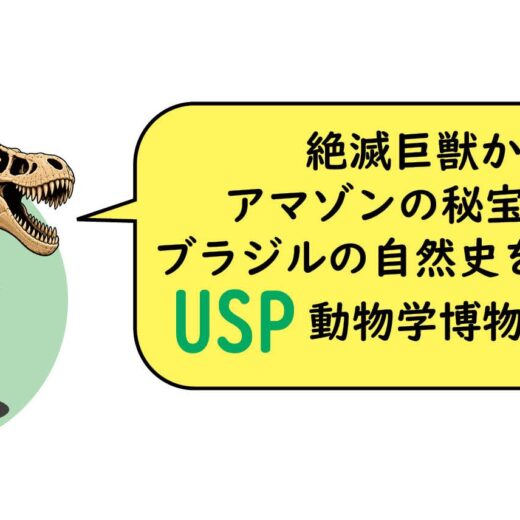 絶滅巨獣からアマゾンの秘宝まで～ブラジルの自然史を網羅するUSP動物学博物館の魅力　月刊ピンドラーマ2026年10月号